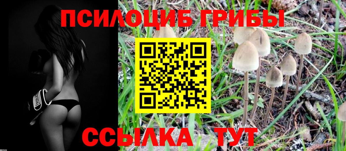 Касимов  Псилоцибиновые грибы мухоморы  сколько стоит  Вход с VPN 