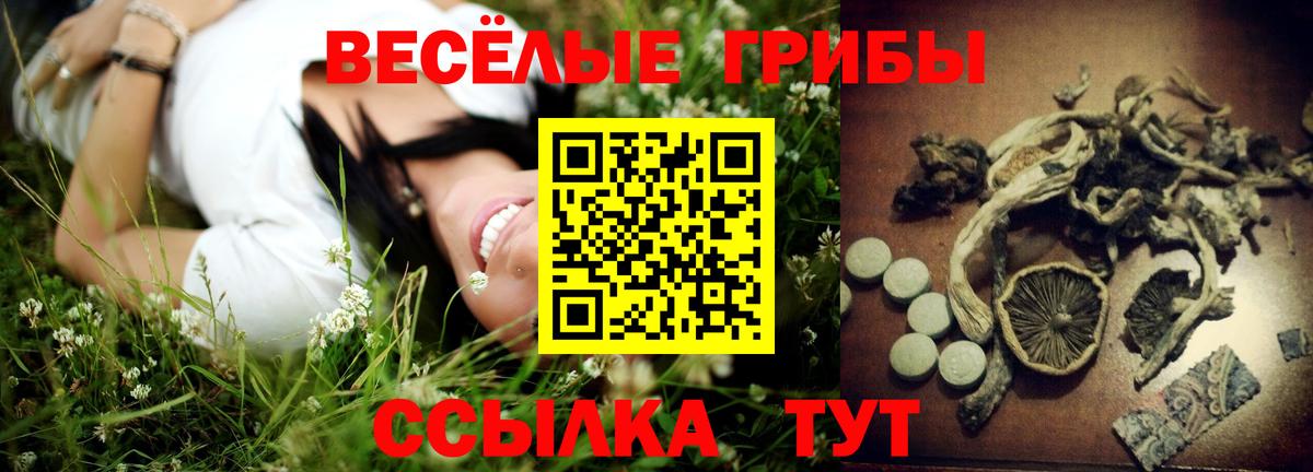 Псилоцибиновые грибы прущие грибы Касимов